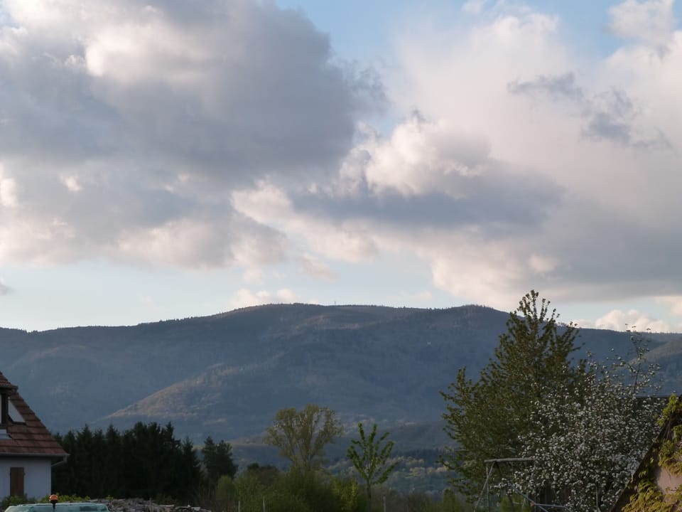 Come and discover the Floralies in the heart of the Val de Villé Cottage in Grand Est