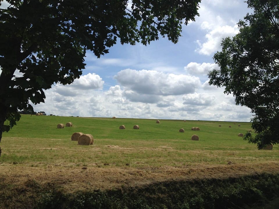 juin_les_foins