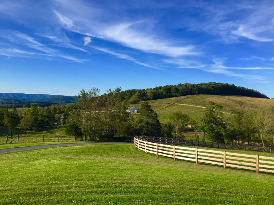 Guest Shot: Windward Wanderer, Jeanne