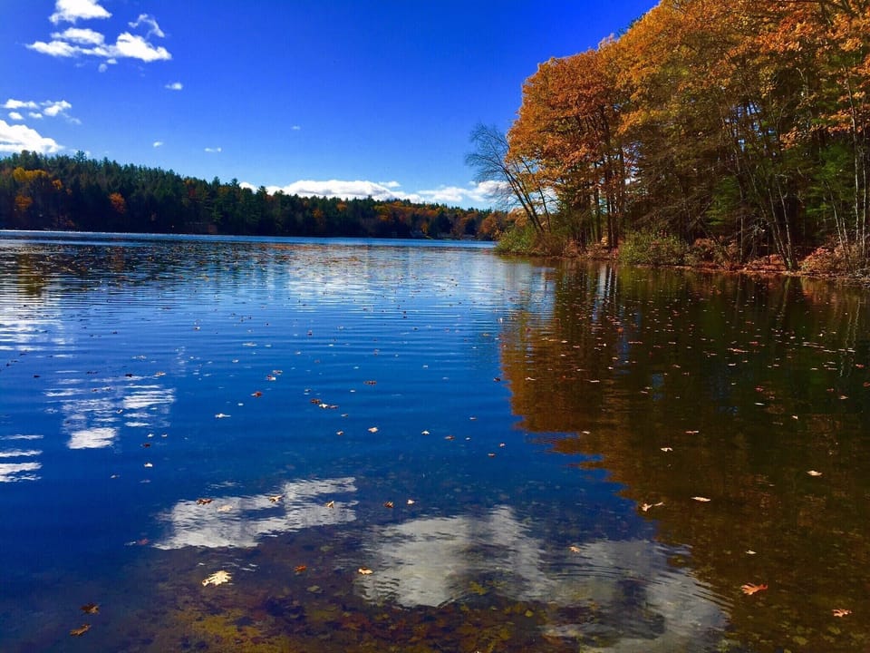 Fall colors