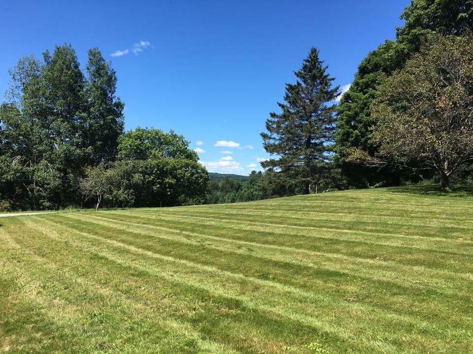 The lawn out back has tons of space to play 