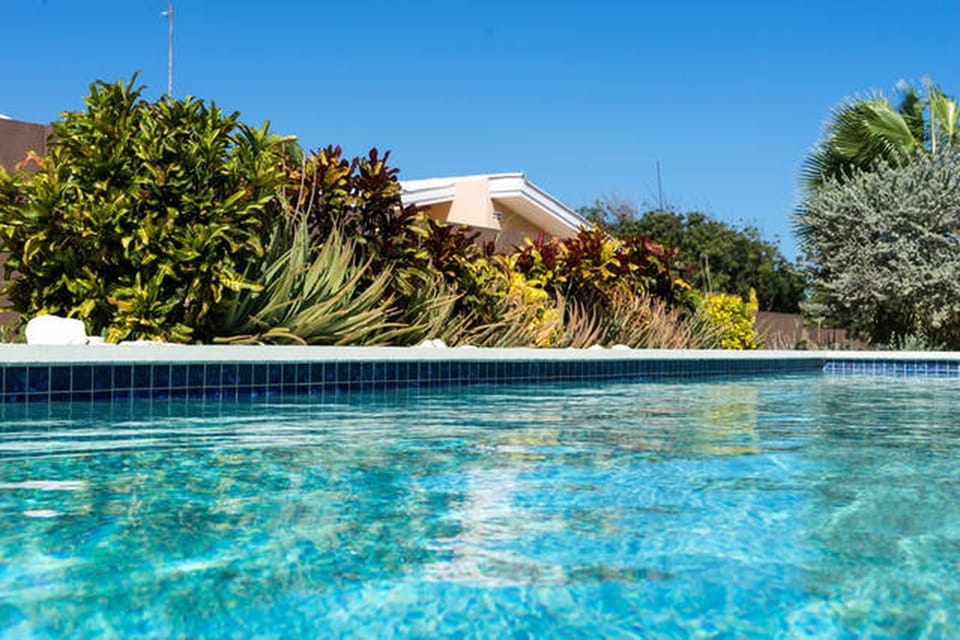 The pool right in front of your studio