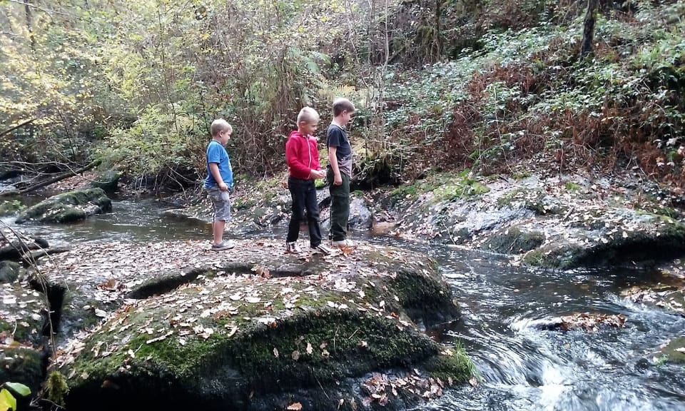 Fantastic walks