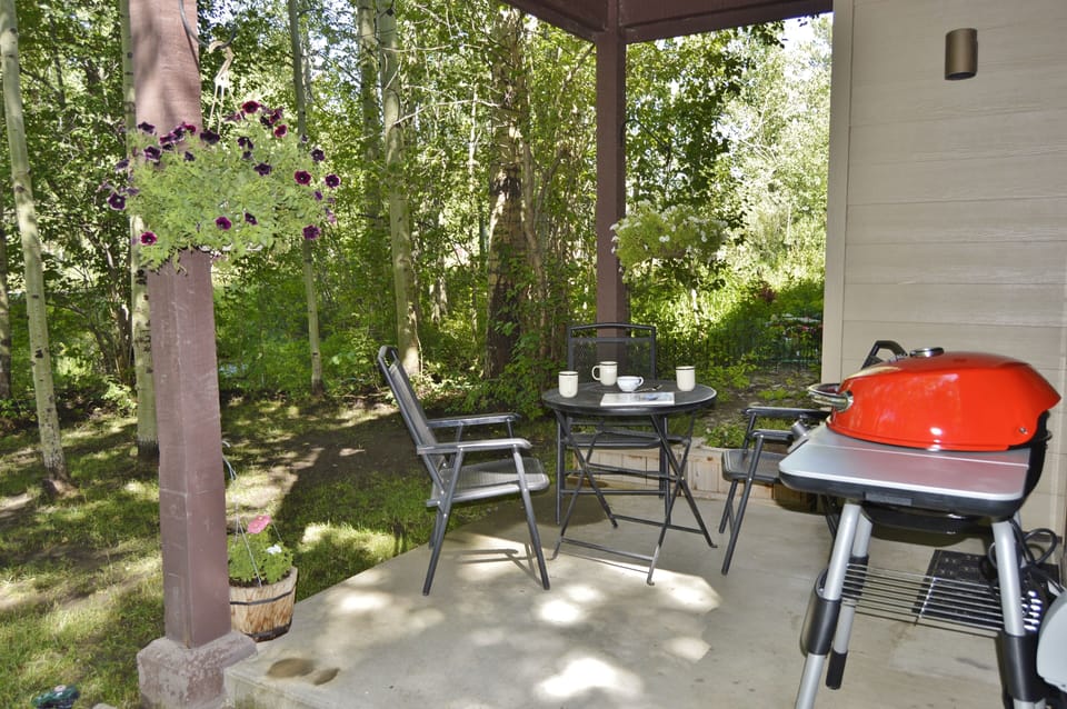 Patio with Electric Grill