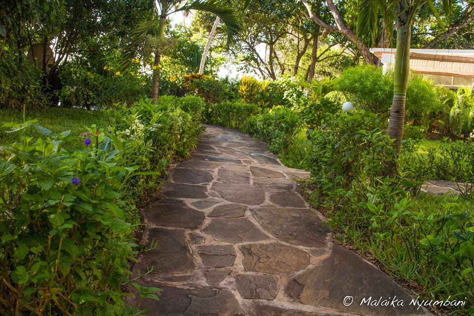 Walkway from the apartment to the pool/beach