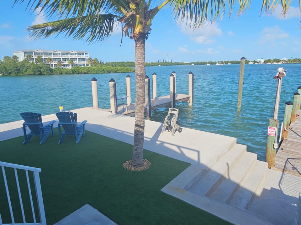 Soft turf backyard with adirondack chairs to relax under the palm.  Two docks!