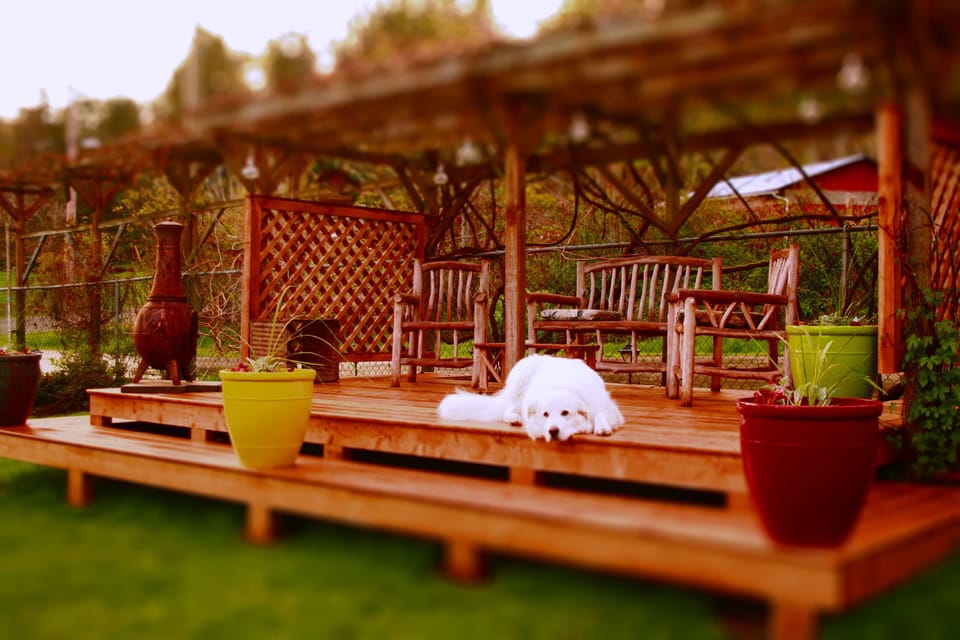 The guest sundeck, a great spot to relax. 