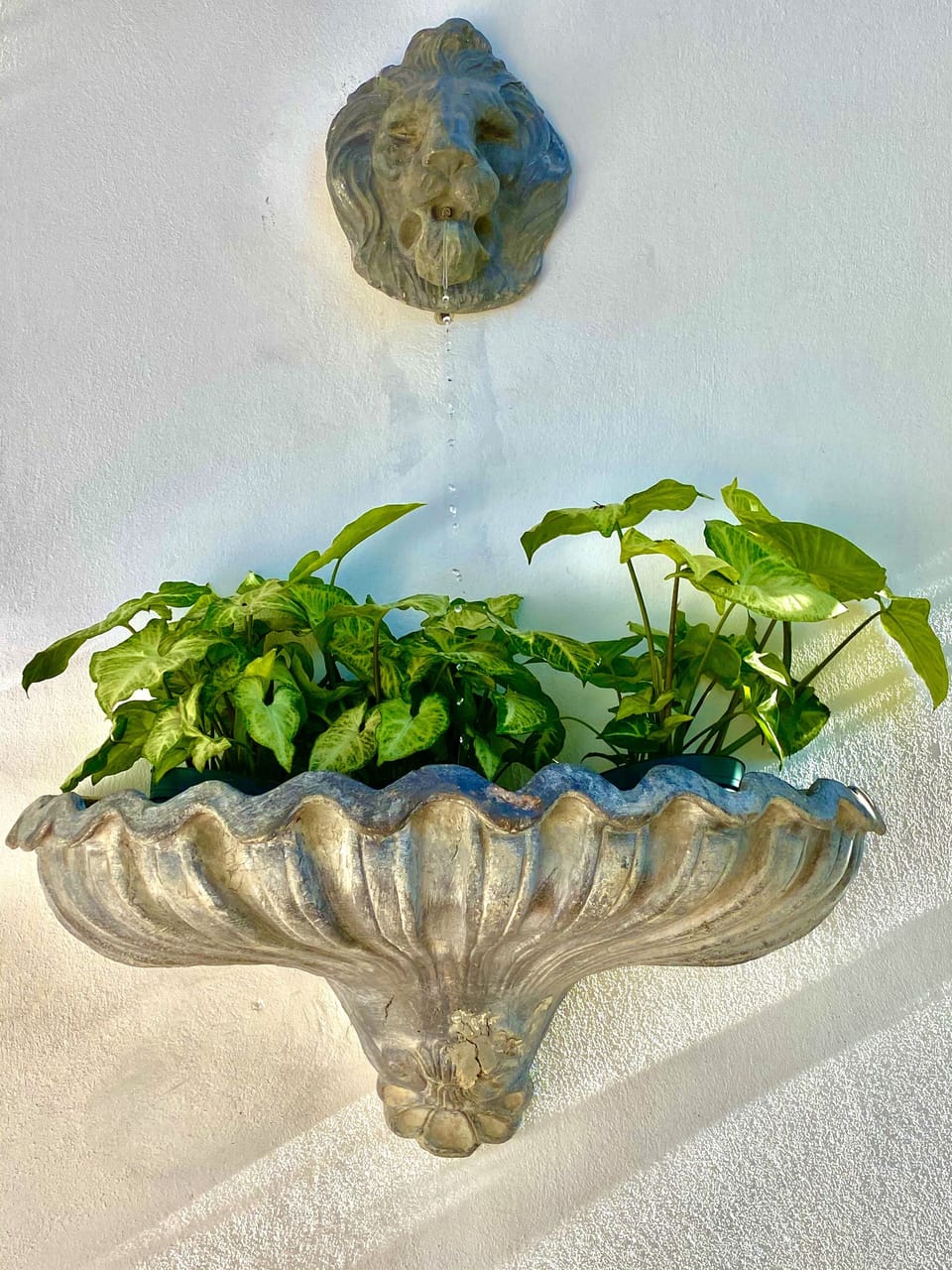 French fountain