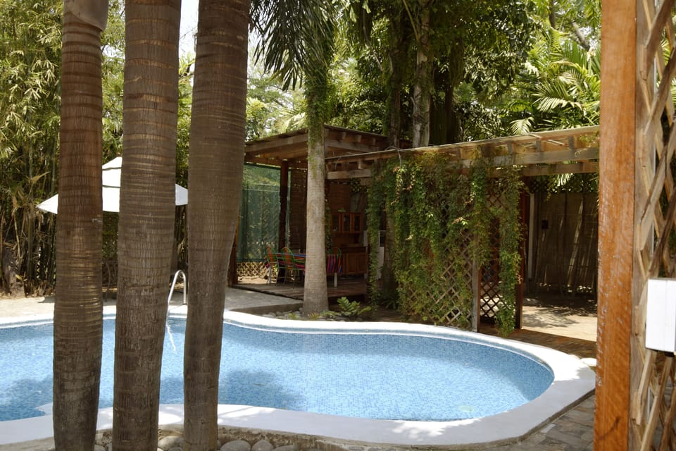 Our newly redone pool and garden area provides the perfect space to relax