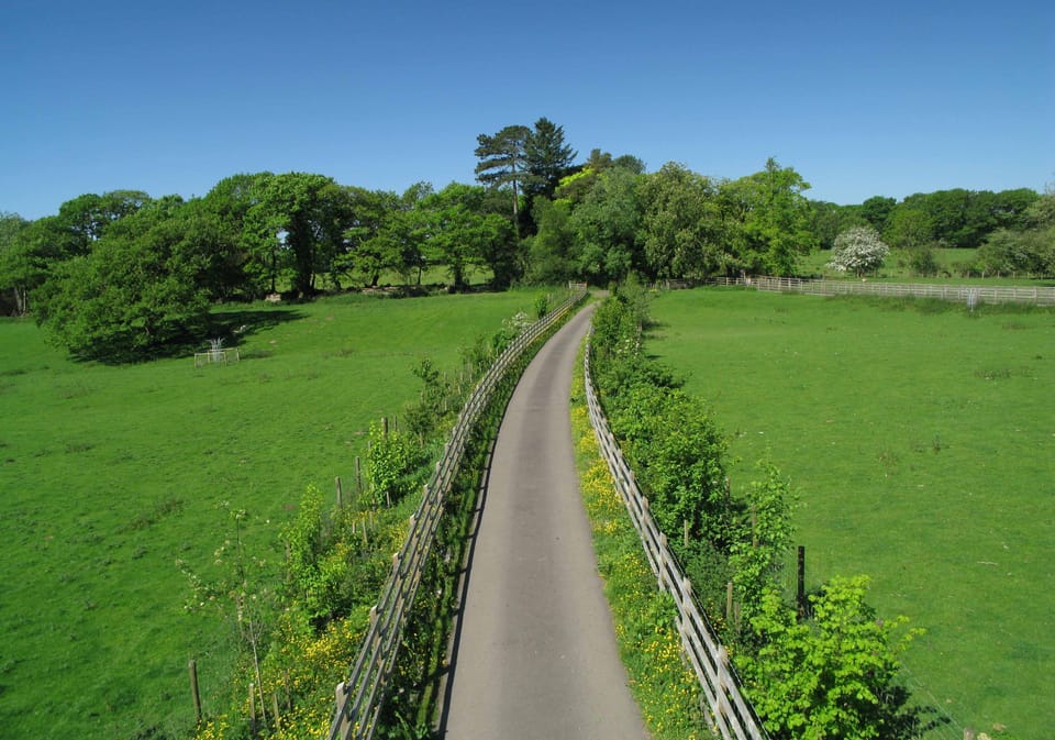 Approach driveway through parkland