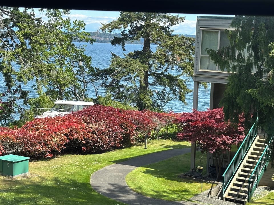 Your views from your outside patio