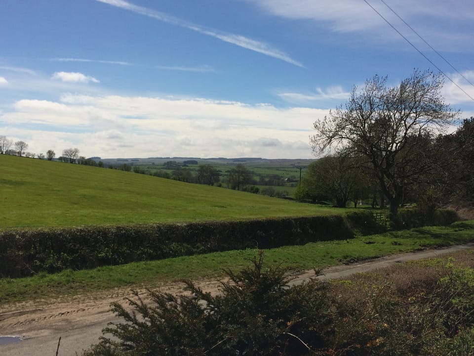 View from the top opening Velux window