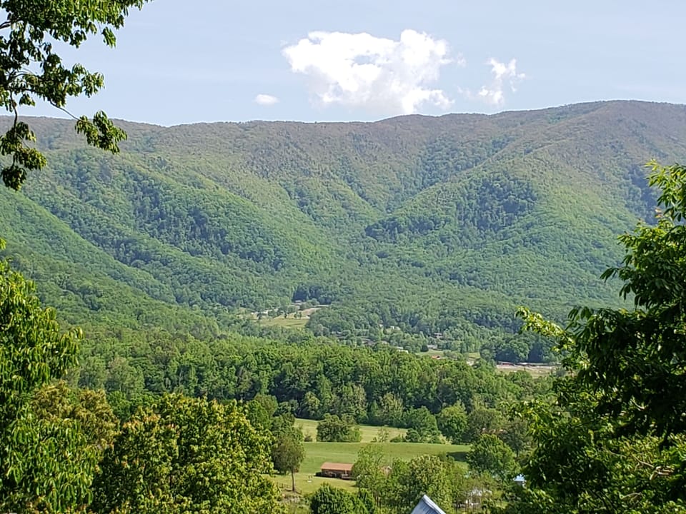 View of Cove Mountain (3rd largest in the National Park) from the rear deck.