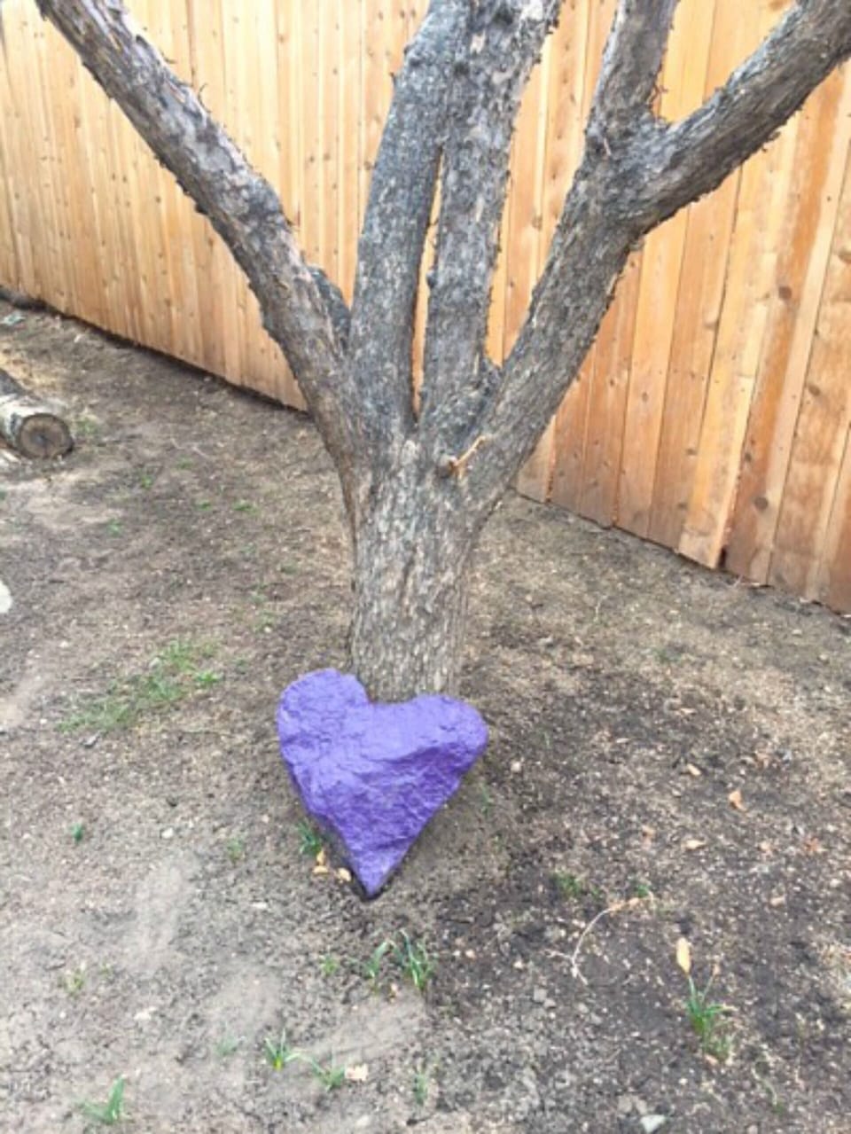 Found this rock under the house, painted it purple
