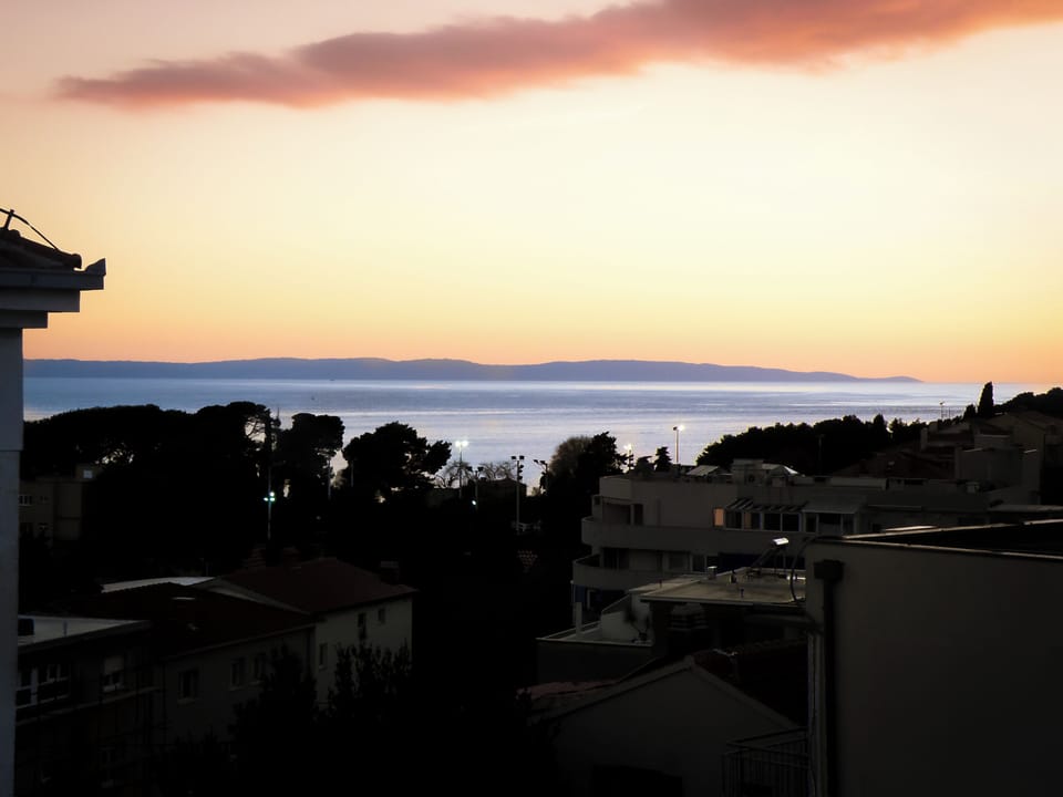 The view