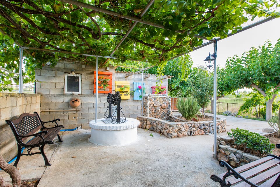 RELAX IN THE BACKYARD
