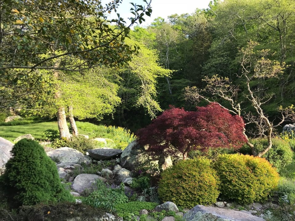 Glacial rock garden