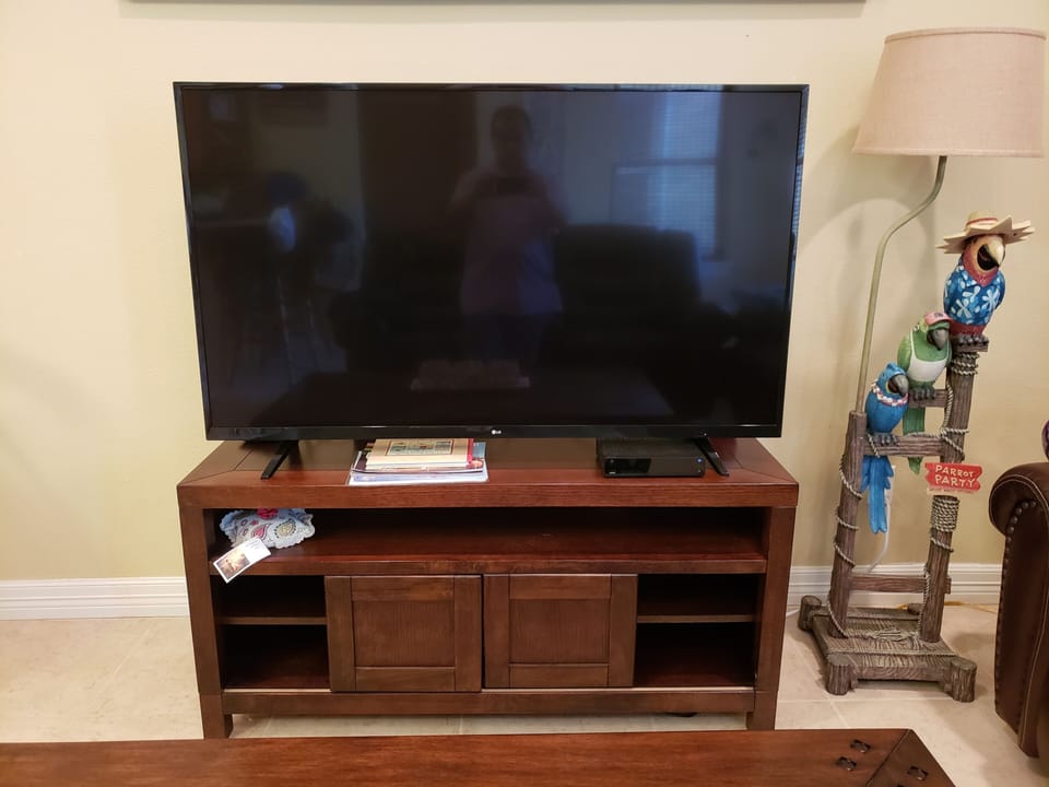 55" HD smart TV.  Netflix included!