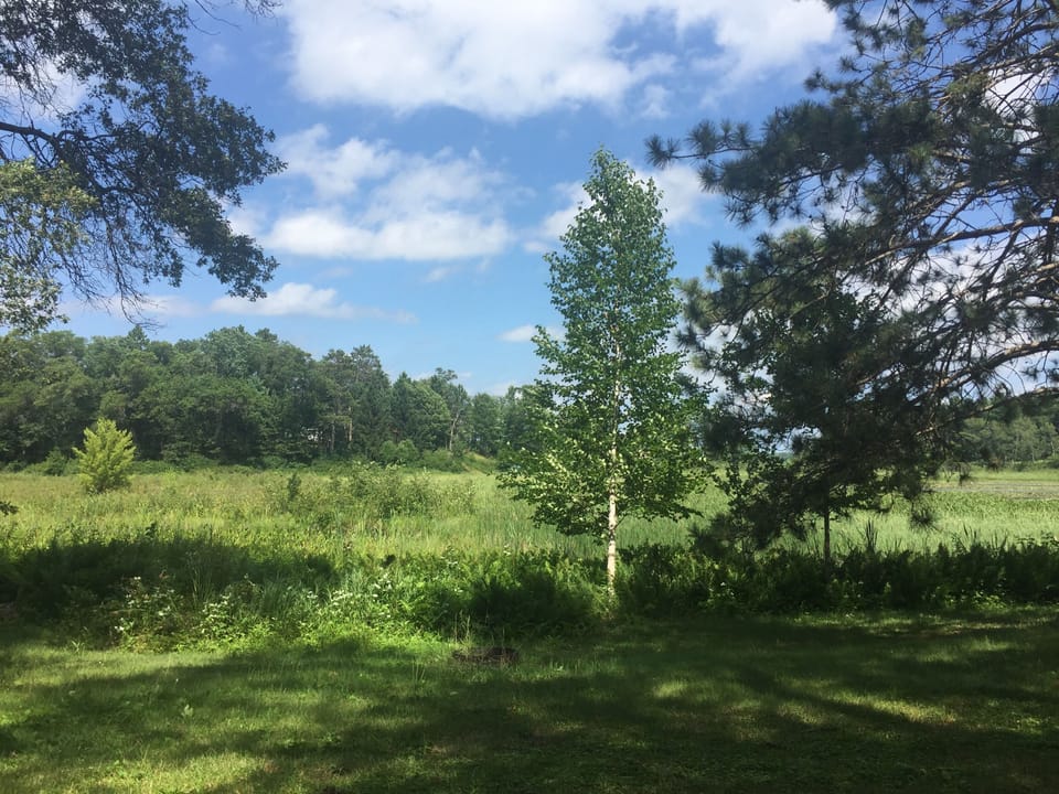Wetland views from property