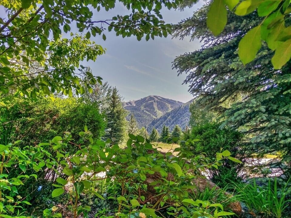 View from Patio