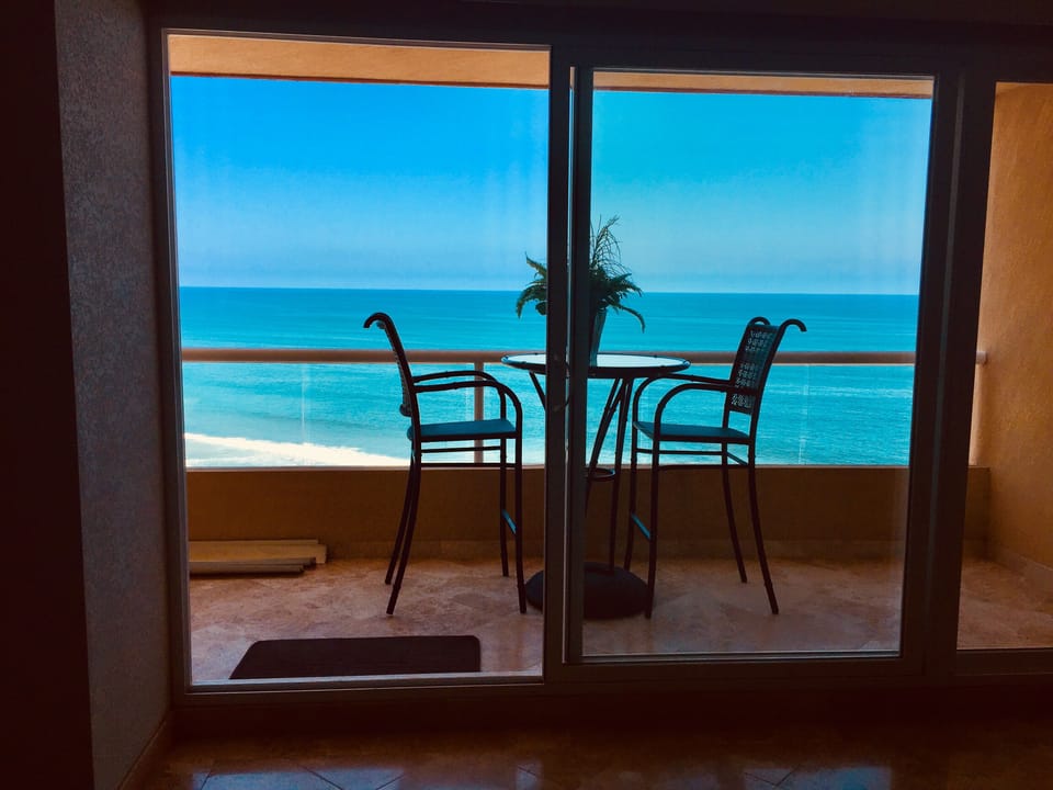 Your dining room view