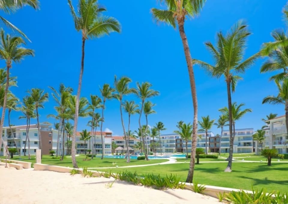 More palm trees and tropical vibes...