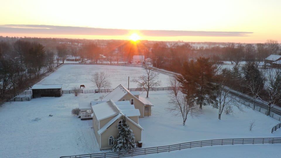 Winter scene