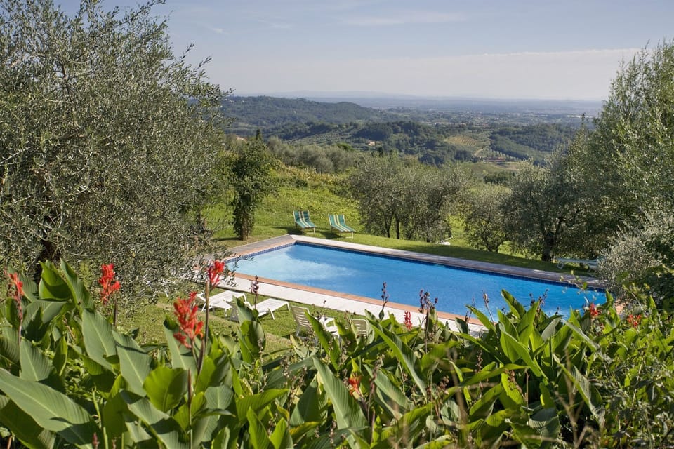 Pool, Scenic View