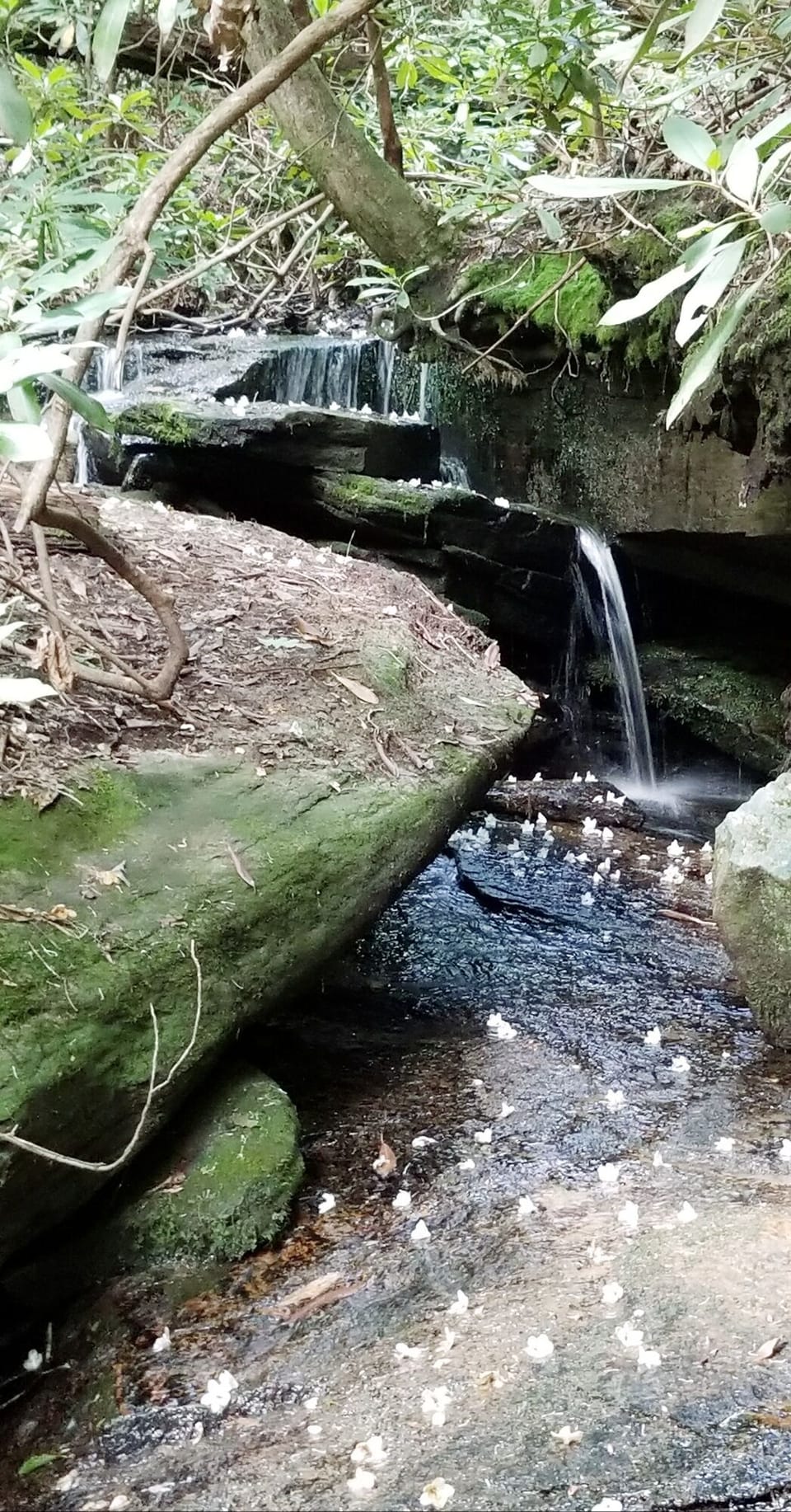 Our very own little waterfall