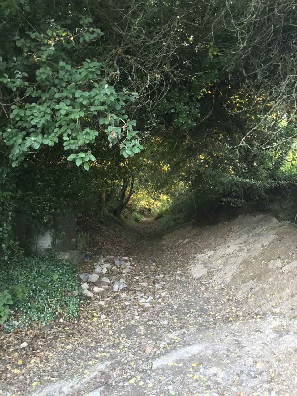 The path to the moor, outside the cottage front door 