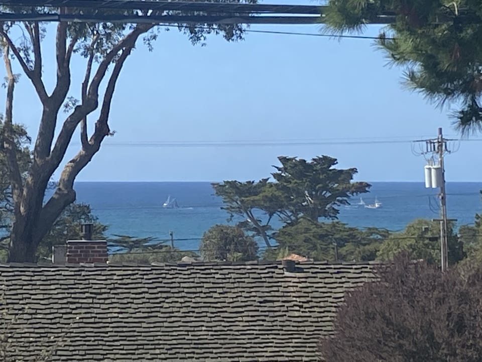 View from the living room.