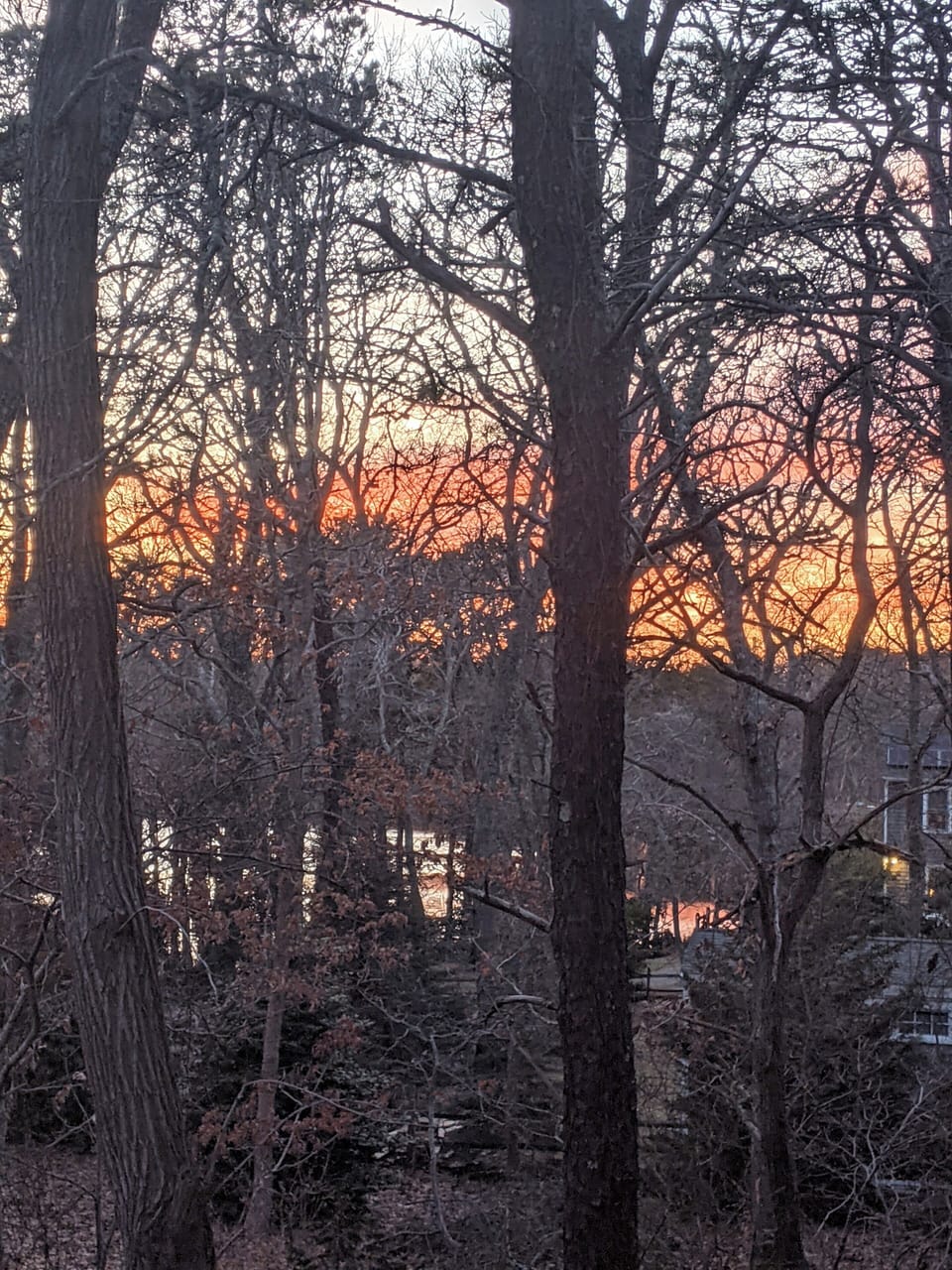 Winter view from deck; summer views obstructed by tree leaves.