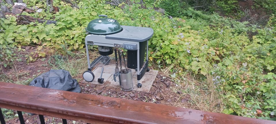 Weber Charcoal Grill and starter chimney