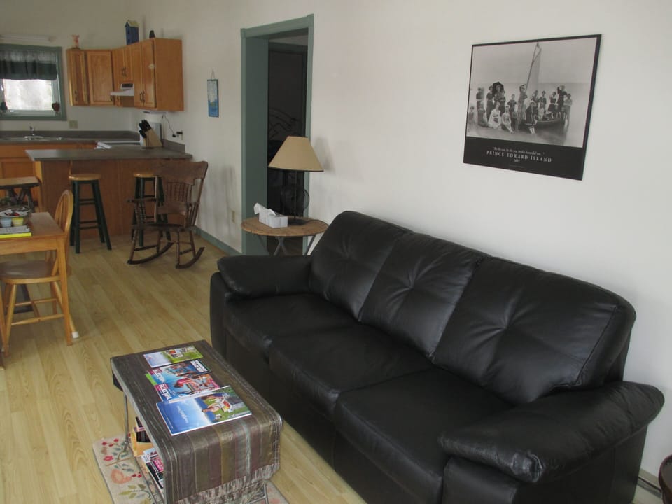 Leather couch