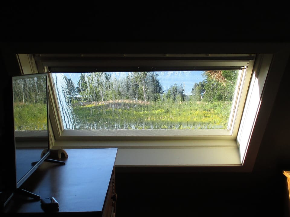 View thru the skylight