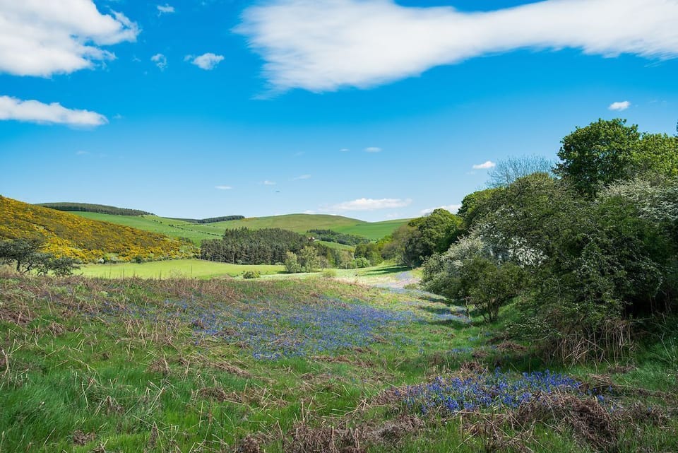 Reedsford - surrounding countryside