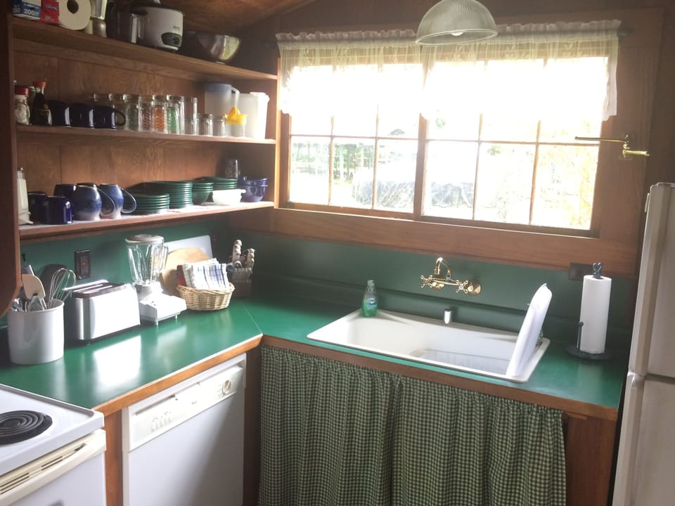 Dishwasher and farmhouse sink