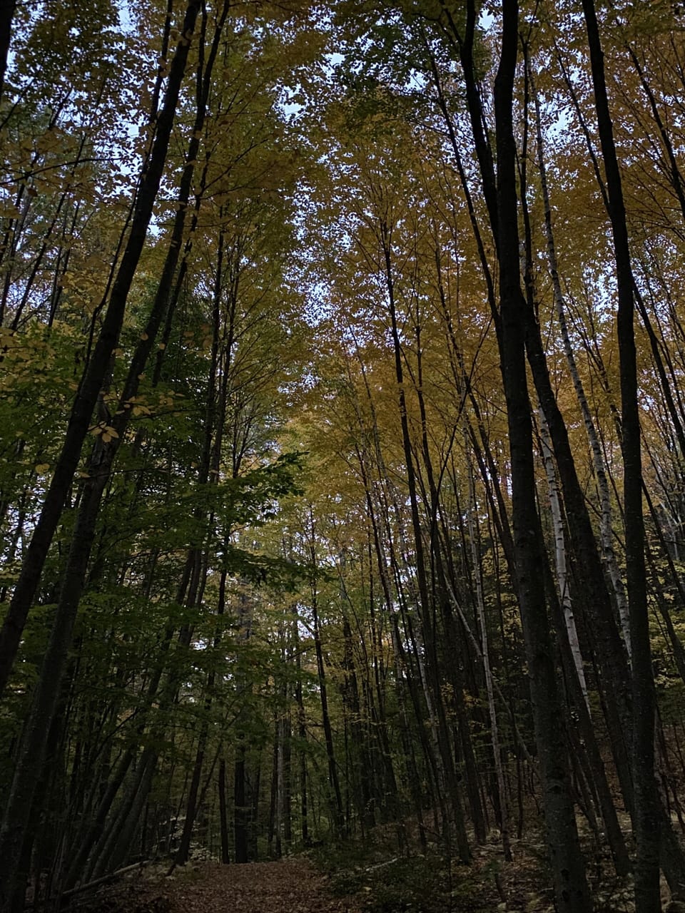 beautiful local hikes, early fall splendor