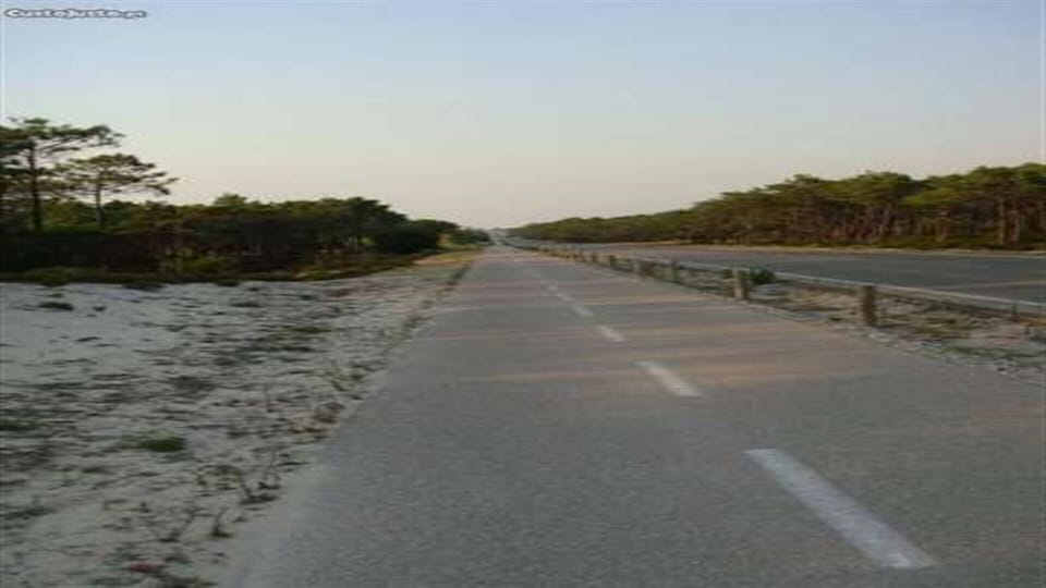 Praia com arte xávega.