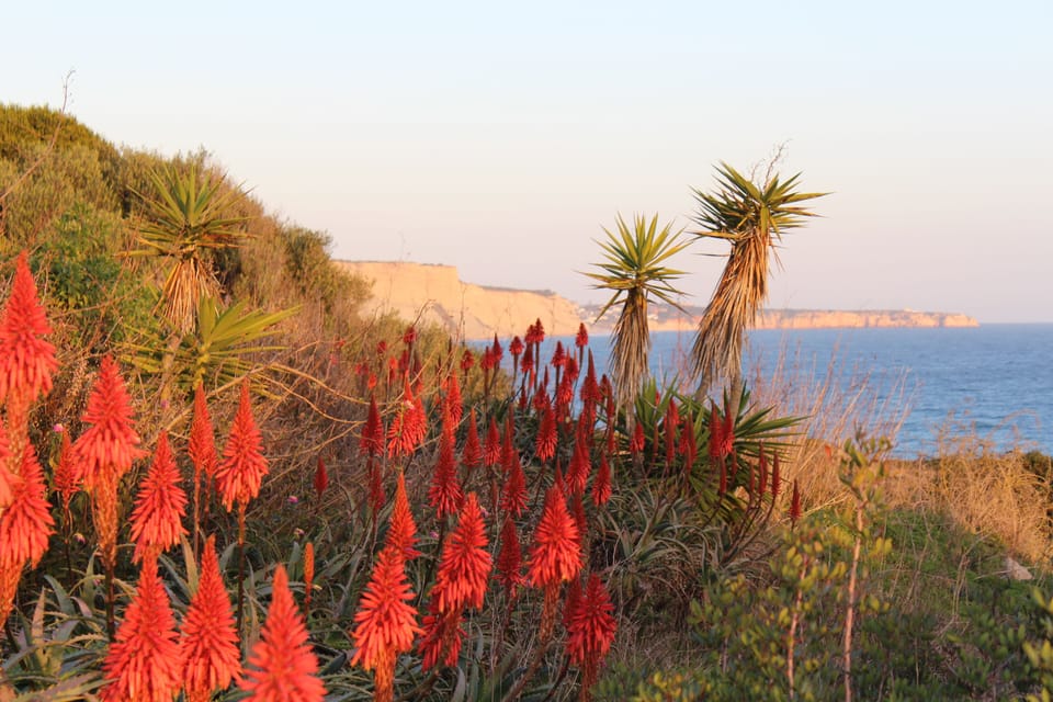 Praia da Luz is a great spot for coastal walks and hikes