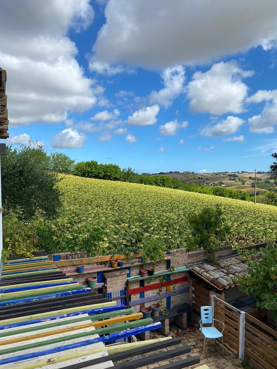 View from property