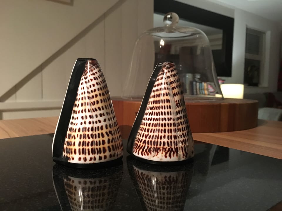 We couldn't resist these shell salt and pepper set for our guests.
