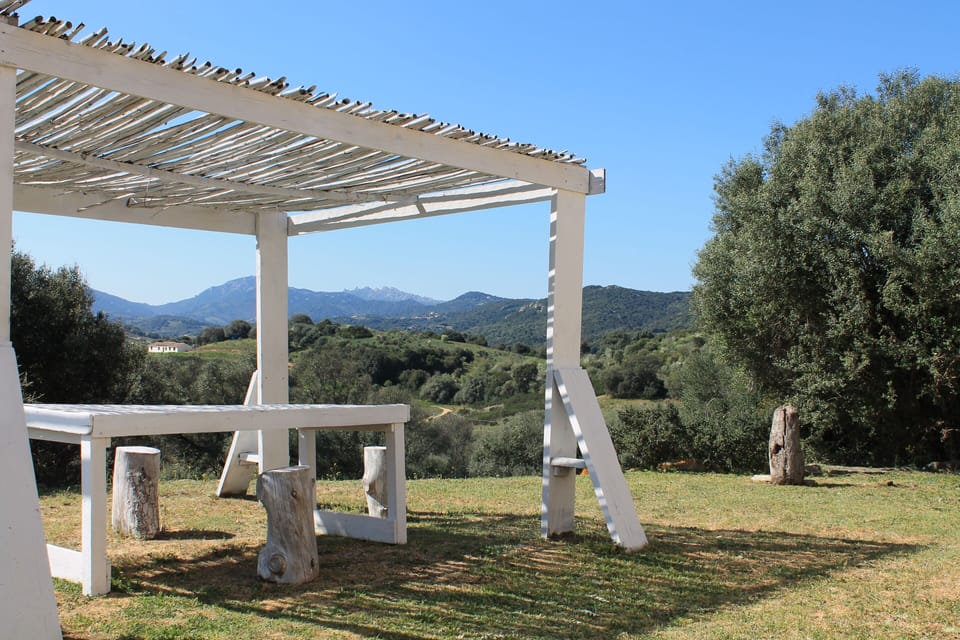 Outside the house you will find the veranda with table and chairs