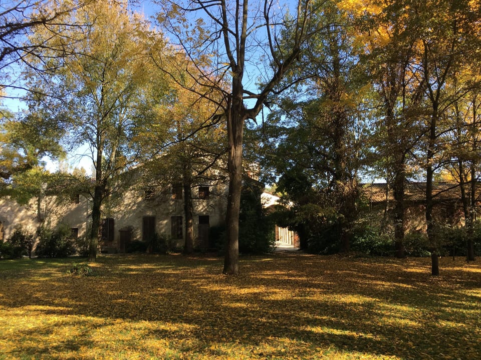 The park autumn (behind the farmhouse)