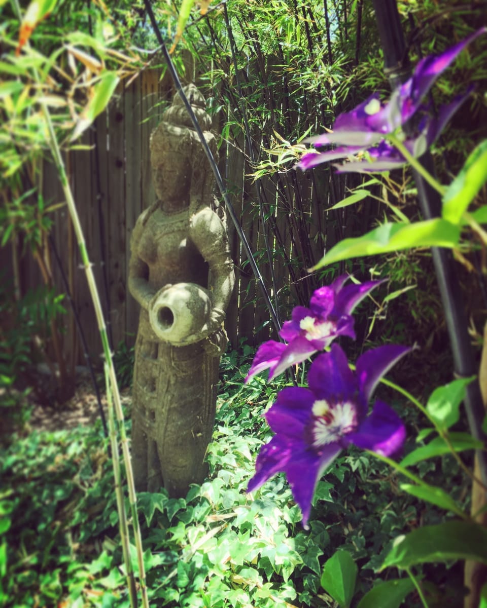 Be touched by the serene surroundings.  Feel your heart smile & your sense relax