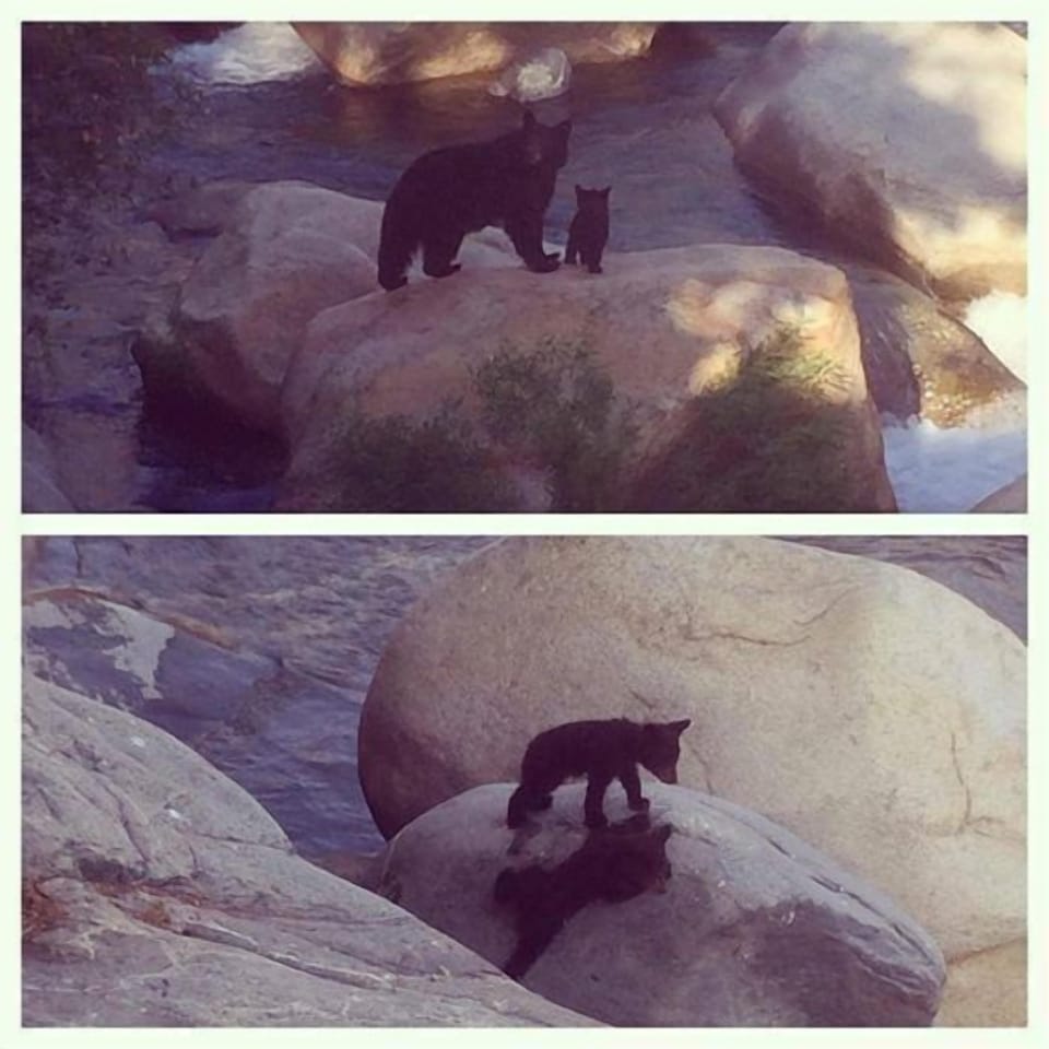 Taken at the Gateway restaurant over looking the river.
