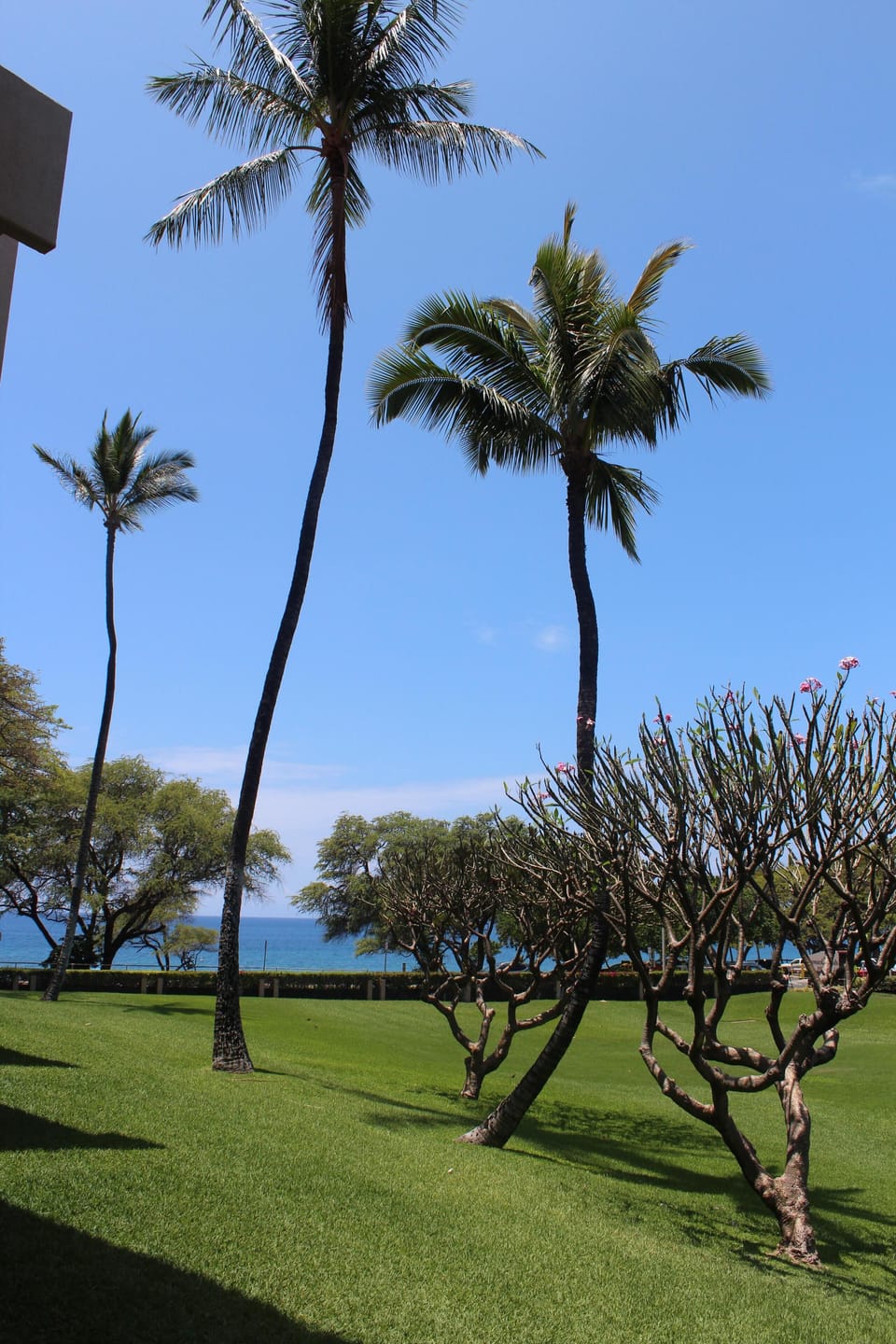 View from lanai 