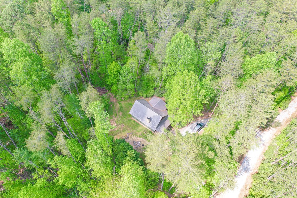 Hawk Eye View