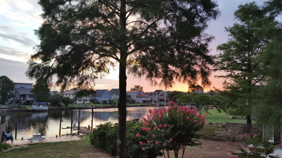 view from deck facing east