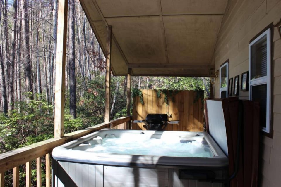 Back Porch Privacy